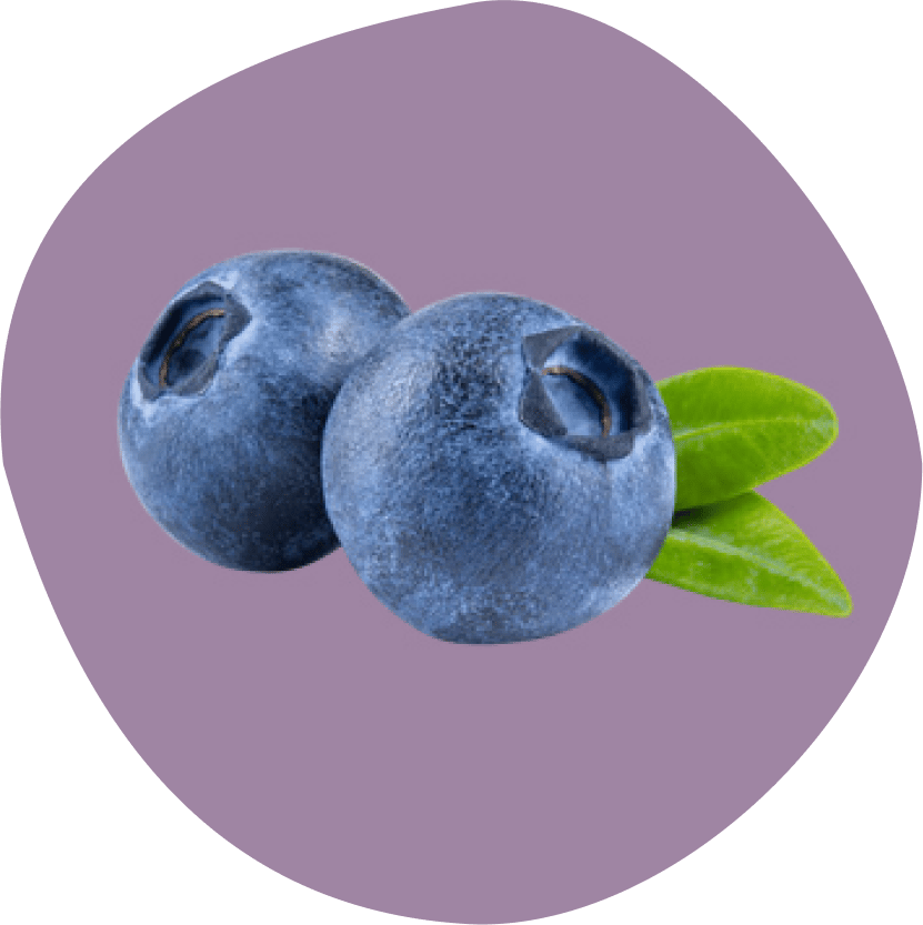 Natural foods, Seedless fruit, Produce, Berry, Blueberry, Bilberry, Food