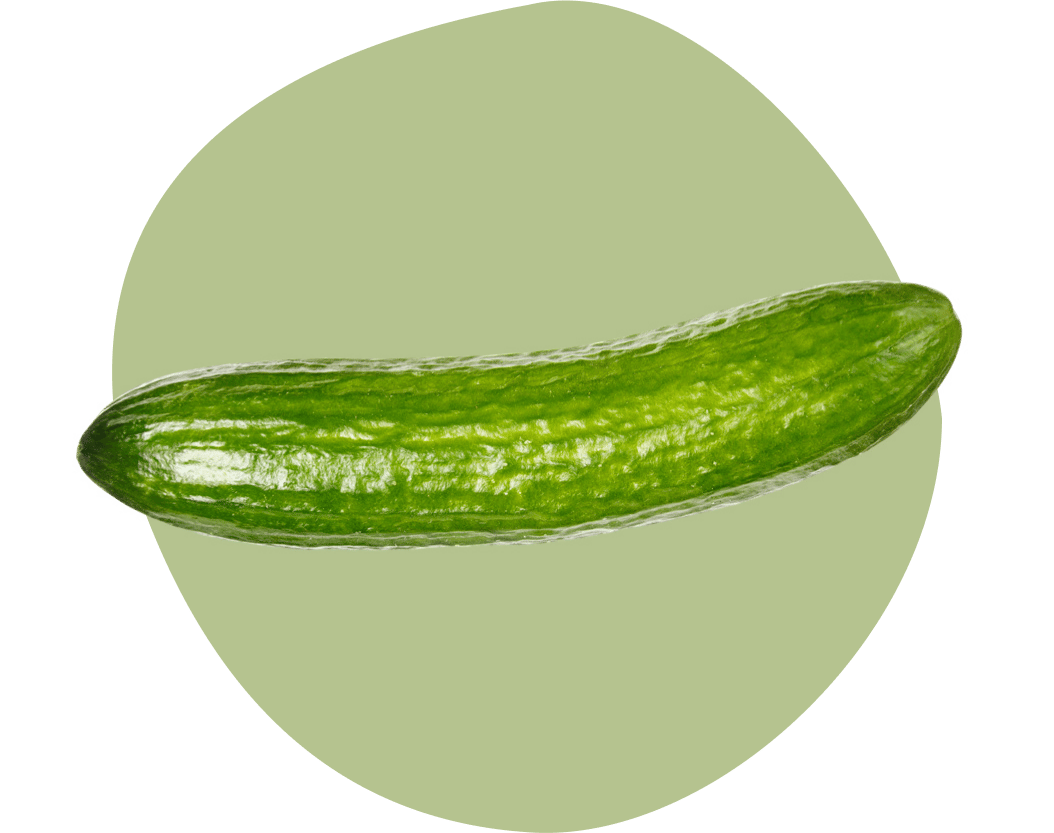 Natural foods, Produce, Cucumber, Vegetable